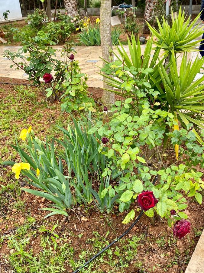 Casa Dominaty Bed & Breakfast Cálig Dış mekan fotoğraf