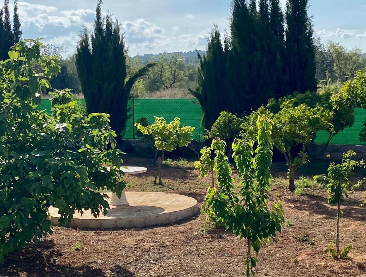 Casa Dominaty Bed & Breakfast Cálig Dış mekan fotoğraf