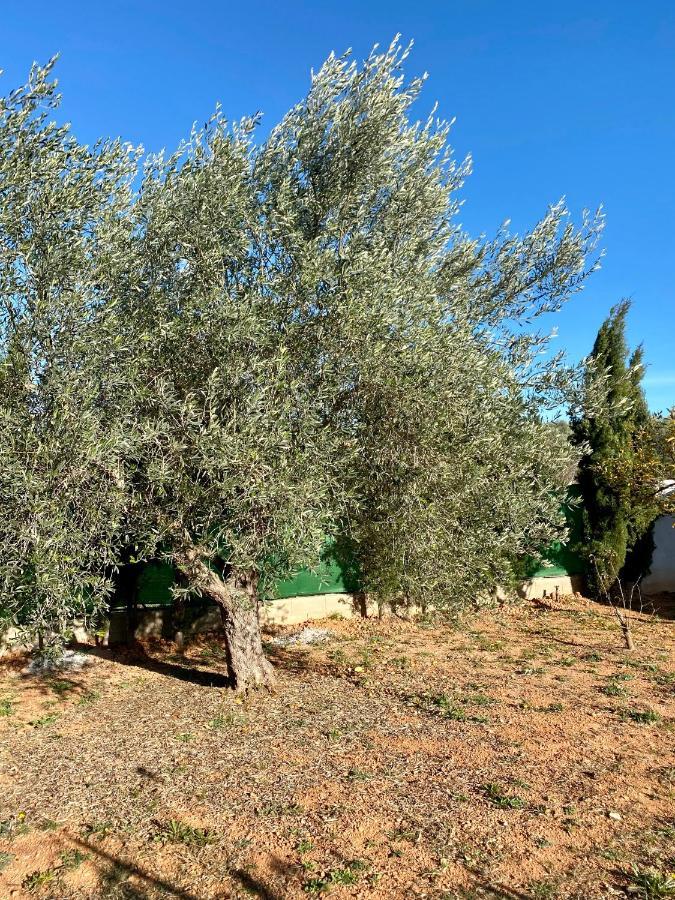 Casa Dominaty Bed & Breakfast Cálig Dış mekan fotoğraf