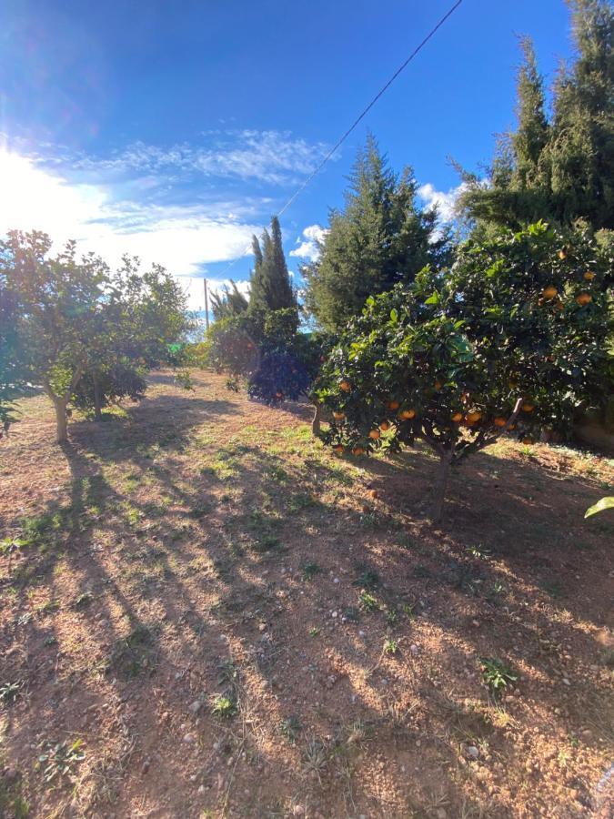 Casa Dominaty Bed & Breakfast Cálig Dış mekan fotoğraf
