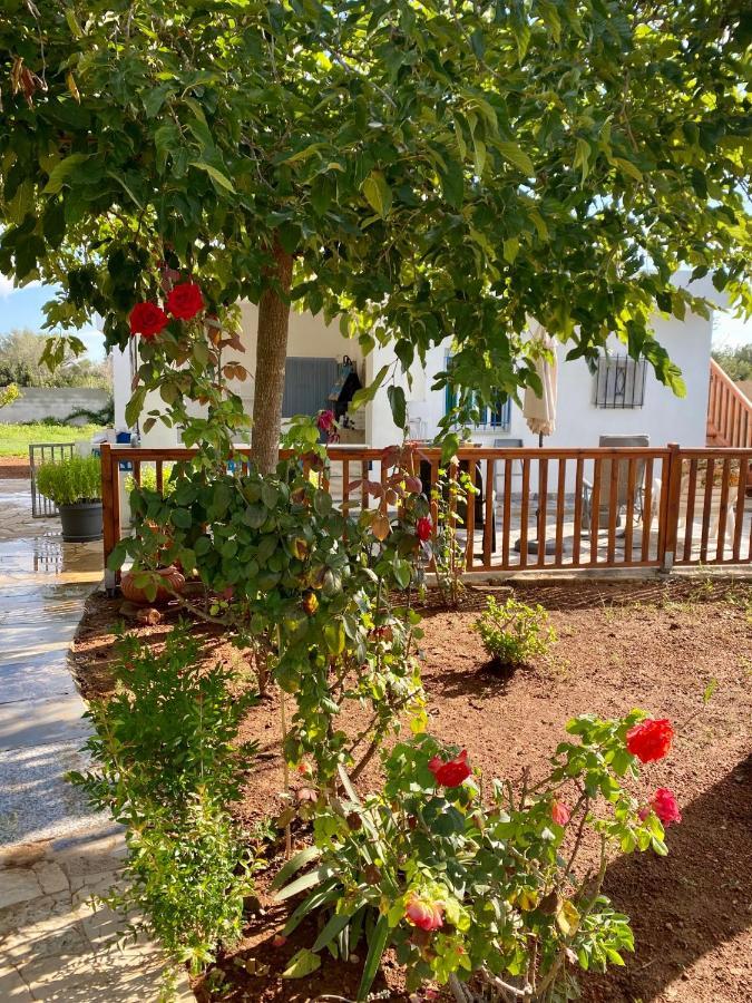 Casa Dominaty Bed & Breakfast Cálig Dış mekan fotoğraf