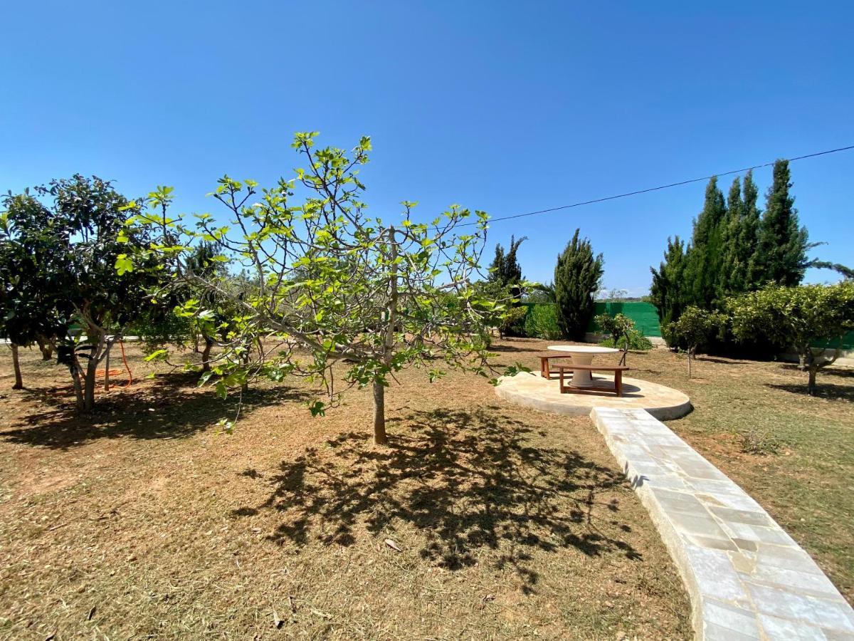 Casa Dominaty Bed & Breakfast Cálig Dış mekan fotoğraf