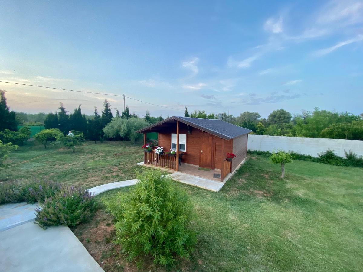 Casa Dominaty Bed & Breakfast Cálig Dış mekan fotoğraf