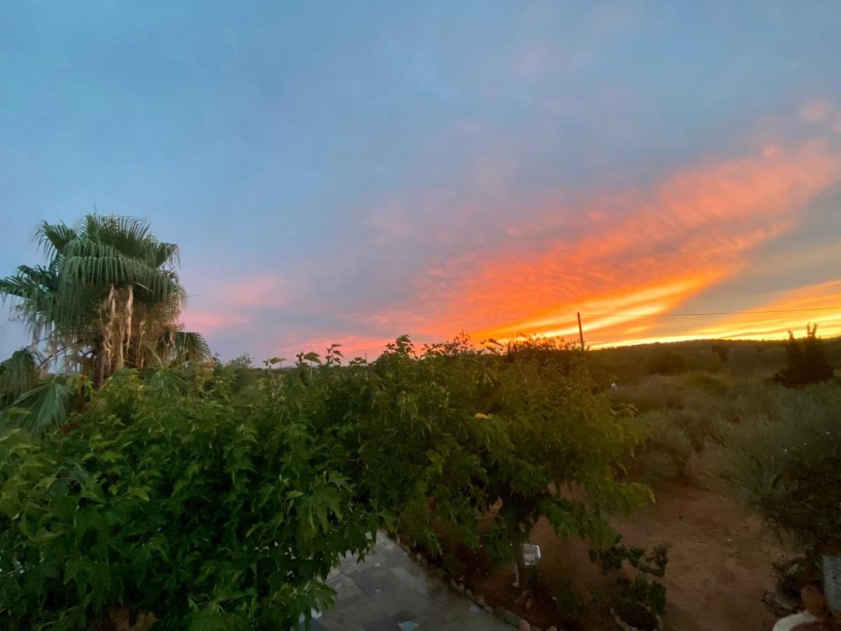 Casa Dominaty Bed & Breakfast Cálig Dış mekan fotoğraf