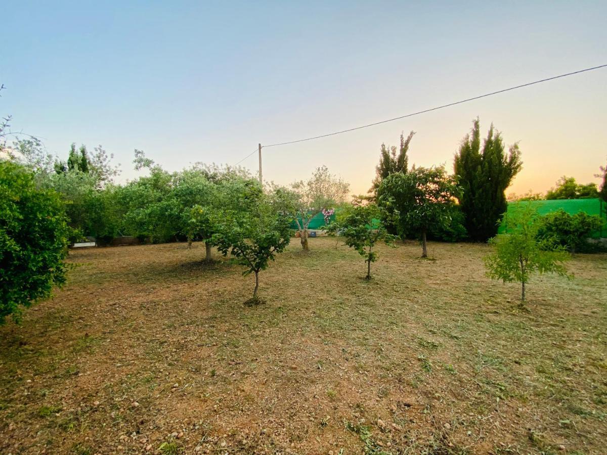 Casa Dominaty Bed & Breakfast Cálig Dış mekan fotoğraf